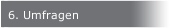 6. Umfragen